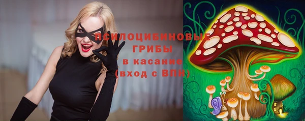 ALPHA PVP Пролетарск
