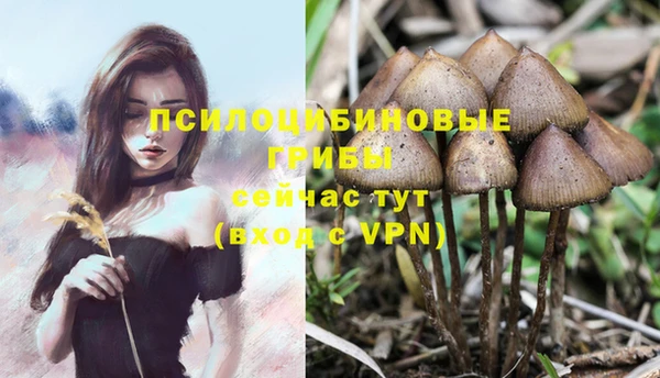 мдма Протвино
