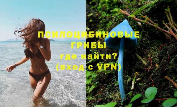 мдма Протвино