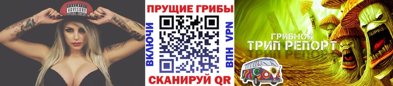 Галлюциногенные грибы GOLDEN TEACHER Славск