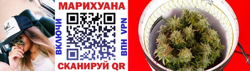 MEGA маркетплейс  продажа наркотиков  Славск  МАРИХУАНА тримм 